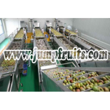 Passion fruit Aloe Mango Processing Line